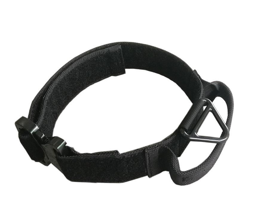 Cobra Buckle Dog Collar
